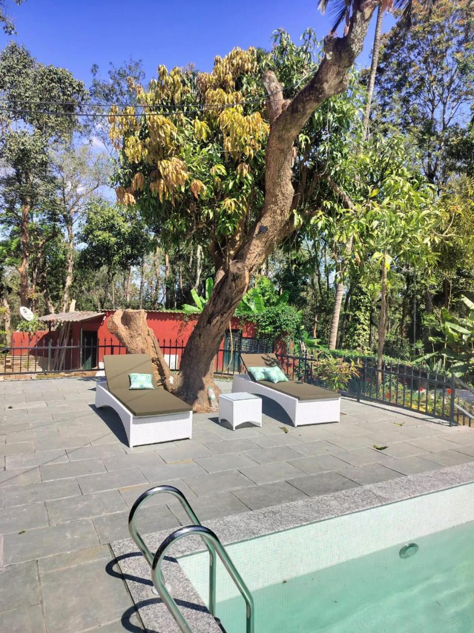 Devi Villa - Plantation Retreat And Forest Getaway Kutta Exterior foto
